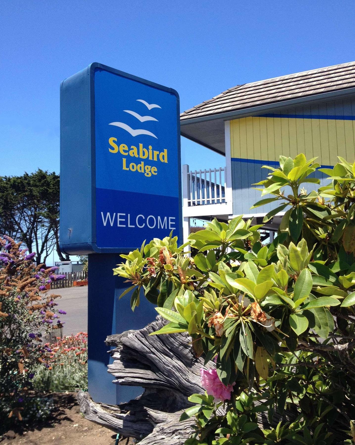 Seabird Lodge Fort Bragg Exterior foto